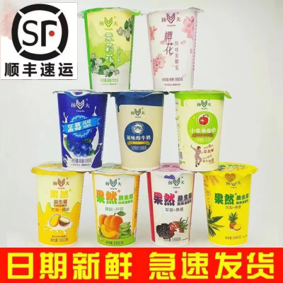 顺丰京东冷藏发货扬大酸奶茉莉花酸奶9种口味樱花味扬州大学风味