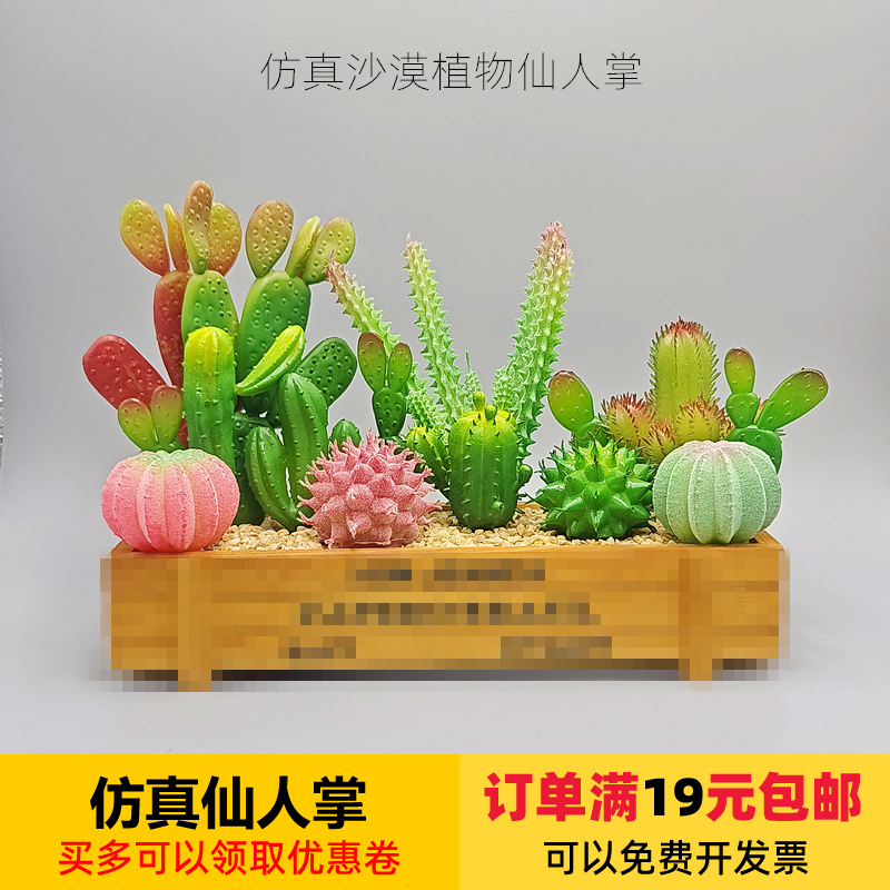 沙漠场景造景仿真植物假仙人掌