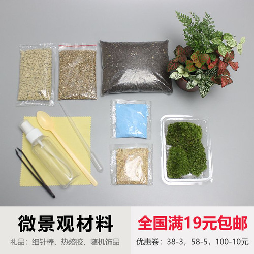 苔藓微景观手工diy材料植物沙土