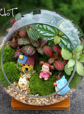 手工盆栽diy微景观节日活动礼品