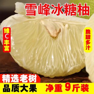 安江冰糖柚雪峰柚湖南怀化洪江雪峰山小苦柚金兰柚10斤脆香小柚子