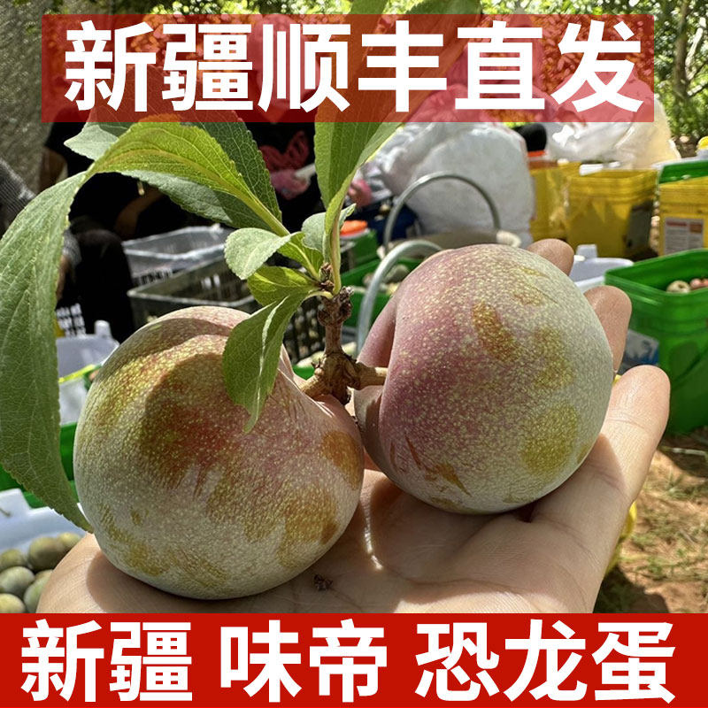 新疆味帝恐龙蛋新鲜水果红肉李子