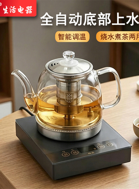 颐品YP13自动上水煮茶壶泡茶器
