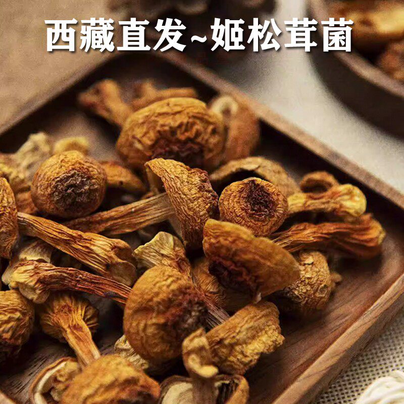 西藏林芝姬松茸菇新货土特产松茸菌松茸干货营养煲汤整朵