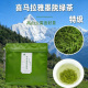 西藏墨脱绿茶特级一芽二叶嫩叶明前西藏特产口粮茶新茶西藏墨脱产