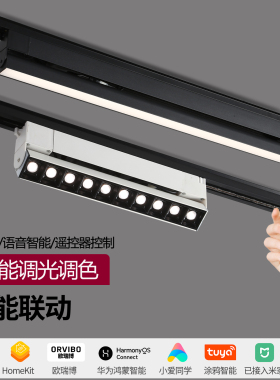 智能led轨道灯格栅灯泛光灯补光灯涂鸦蓝牙已接入米家app调光调色