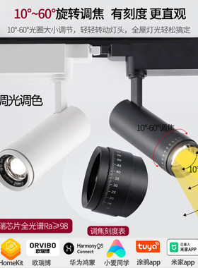 智能led轨道灯射灯homekit已接入米家涂鸦调光调色调焦美术馆照画
