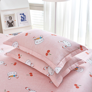 全棉乳胶枕套纯棉枕头套一对装 40x60记忆枕芯套单人整头罩48x74cm