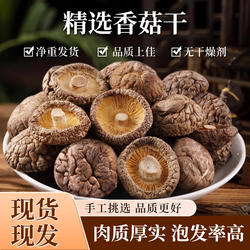 泌阳香菇干货特级干香菇净重批发肉厚无根农产品特产菌菇新货煲汤