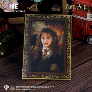 哈利波特光栅笔记本周边正版预言家日报本子赫敏罗恩可变幻手账本