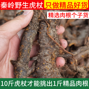 秦岭野生虎杖正品中药材虎杖片斑杖根泡水泡酒500g今年新货无添加