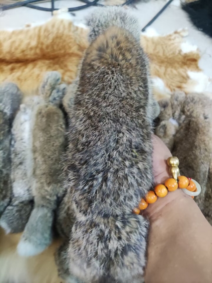 细狗幼犬训狗器猎兔狗小猎犬专用真兔皮带叫声毛毛宠物狗户外玩具