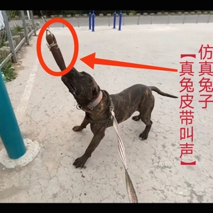 训狗器真兔皮手工制作带叫声户外宠物玩具小细狗格力灵缇开口神器