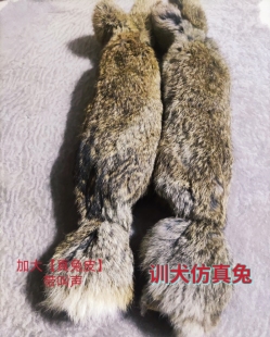 猎狗幼犬猎兔犬户外遛狗神器宠物狗叫声刺激玩具细狗灵缇训狗专用