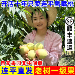 正宗广东河源连平上坪鹰嘴蜜桃脆甜新鲜水果桃子水蜜毛桃产地直发