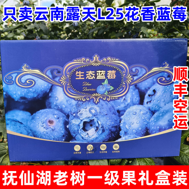 【顺丰空运】云南澄江抚仙湖高山露天L25花香蓝莓礼盒装新鲜水果,水产肉类/新鲜蔬果/熟食,蓝莓,淘宝优惠券,粉丝福利购,淘宝优惠卷