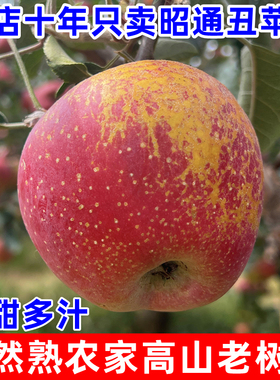 云南昭通丑苹果农家高山老树果红富士冰糖心苹果整箱10斤产地直发