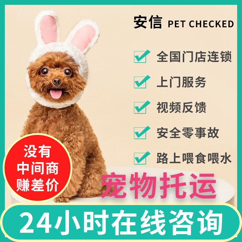 宠物托运服务全国空运防疫证航空随机猫咪狗狗主人随行顺风车运输