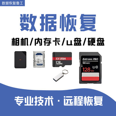 电脑数据恢复相机u盘硬盘内存卡sd卡照片视频文档误删格式化恢复