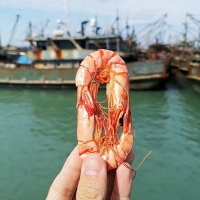 东山岛本港中大号对虾干250g 海鲜干货无盐大虾