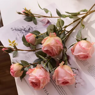 情谊大玫瑰复古焦边丝绢玫瑰仿干花ins法式仿真花客厅摆件工艺