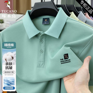时尚 啄木鸟男士 商务翻领POLO衫 t恤夏季 纯色百搭印花上衣 冰丝短袖
