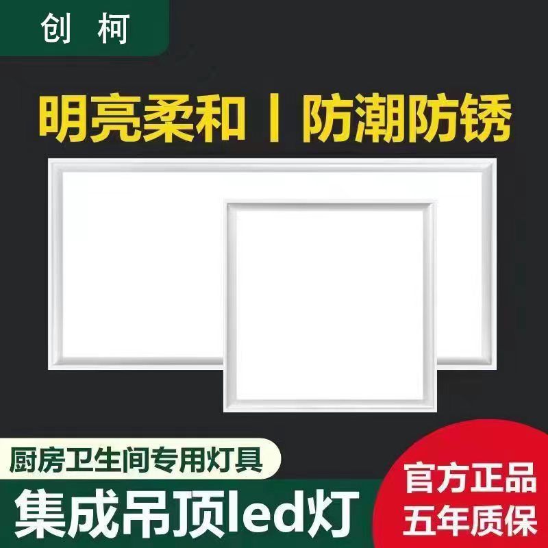 集成吊顶led灯300x300x600厨房卫生间灯扣板嵌入式30x30x60平板灯 家装灯饰光源 厨卫/阳台/玄关/过道吸顶灯 原图主图