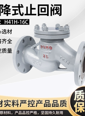 H41H-16C铸钢升降式止回阀碳钢单向阀逆止阀WCBdn405080100150200