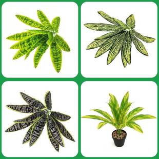 现货 12头剑叶巴西木叶仿真绿植剑叶虎皮兰 植物墙配材 园林工程