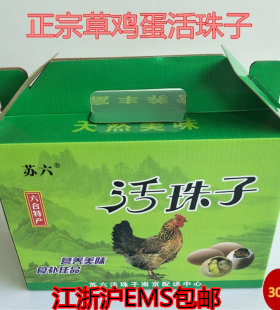 12天苏六活珠子草鸡蛋钢化蛋南京