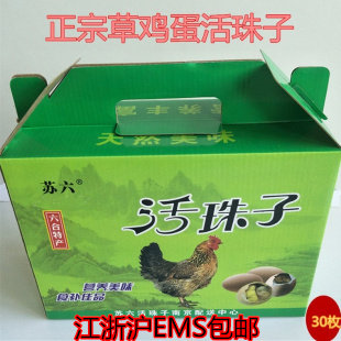 12天苏六活珠子草鸡蛋钢化蛋南京