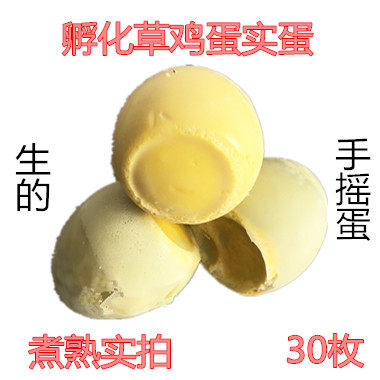 苏六孵化实蛋活珠子旺鸡蛋石蛋鸡活珠子/毛胚蛋