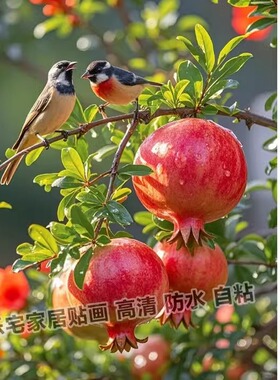 石榴画多子多福自粘画客厅宿舍走廊墙上装饰画冰箱门不干胶贴纸