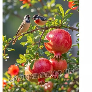 石榴画多子多福自粘画客厅宿舍走廊墙上装饰画冰箱门不干胶贴纸