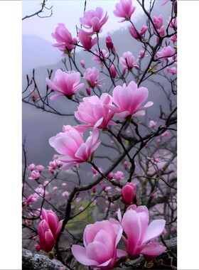 玉兰花图案贴画客厅卧室唯美风景画贴纸治愈系竖版PVC不干胶贴纸E