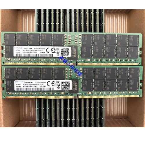 64G 64GB DDR5 2RX4 PC5-4800 ECC RDIMM M321R8GA0BB0-CQK