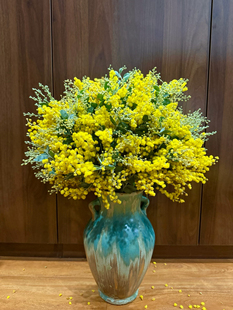 [神仙家]~金合欢~家居客厅餐桌装饰花艺
