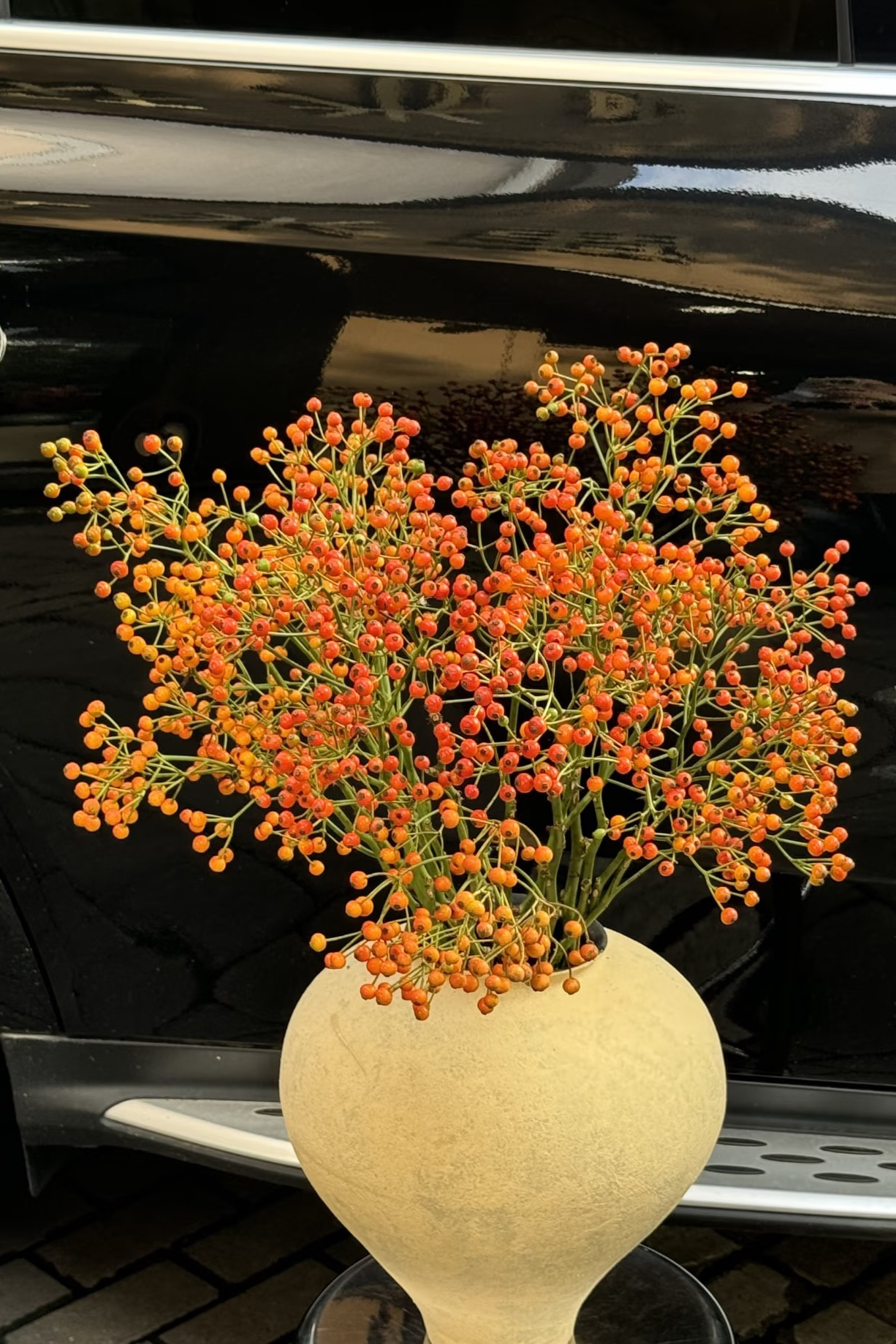 【神仙家】蔷薇果~可以做干花家居摆件客厅餐桌装饰花艺