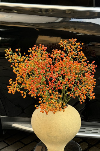 【神仙家】蔷薇果～可以做干花家居摆件客厅餐桌装饰花艺