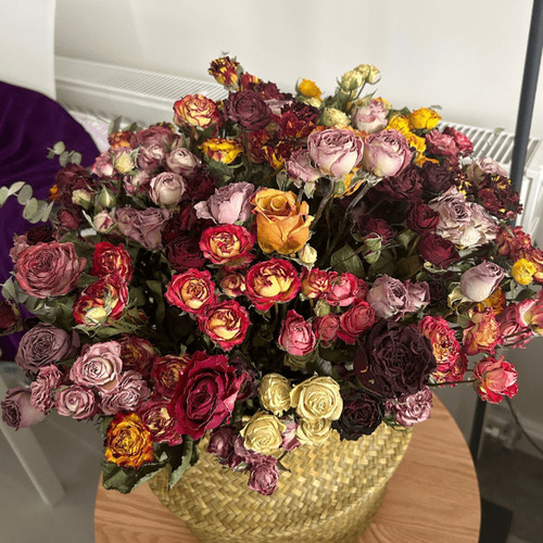 【繁花】原创干花、适合居家养的长花期花/神仙干花