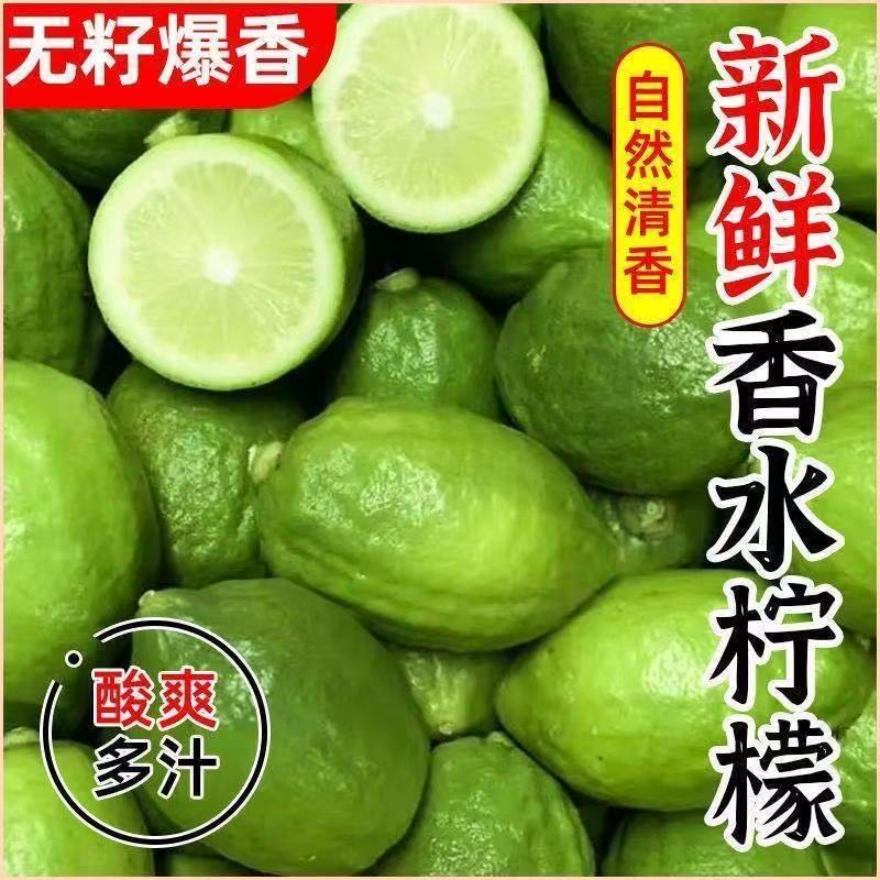 正宗广东香水柠檬鲜果无籽奶茶店商用柠檬果香浓郁