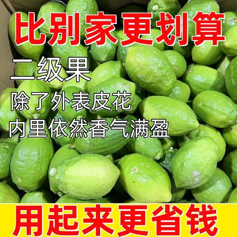 广东香水柠檬二级果一级果香浓郁新鲜直发奶茶店专用鲜果高性价比