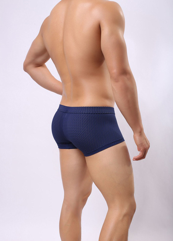 Clearance Special Offer Fearless Captain nylon Mesh Flat angle monolayer ventilation Silk sliding Low-waisted Elastic force Close sexy Underwearin the Lingerie/Men's underwear/Tracksuit , Briefs  category - from Buy2taobao.com to provide professional Taobao agent buy service