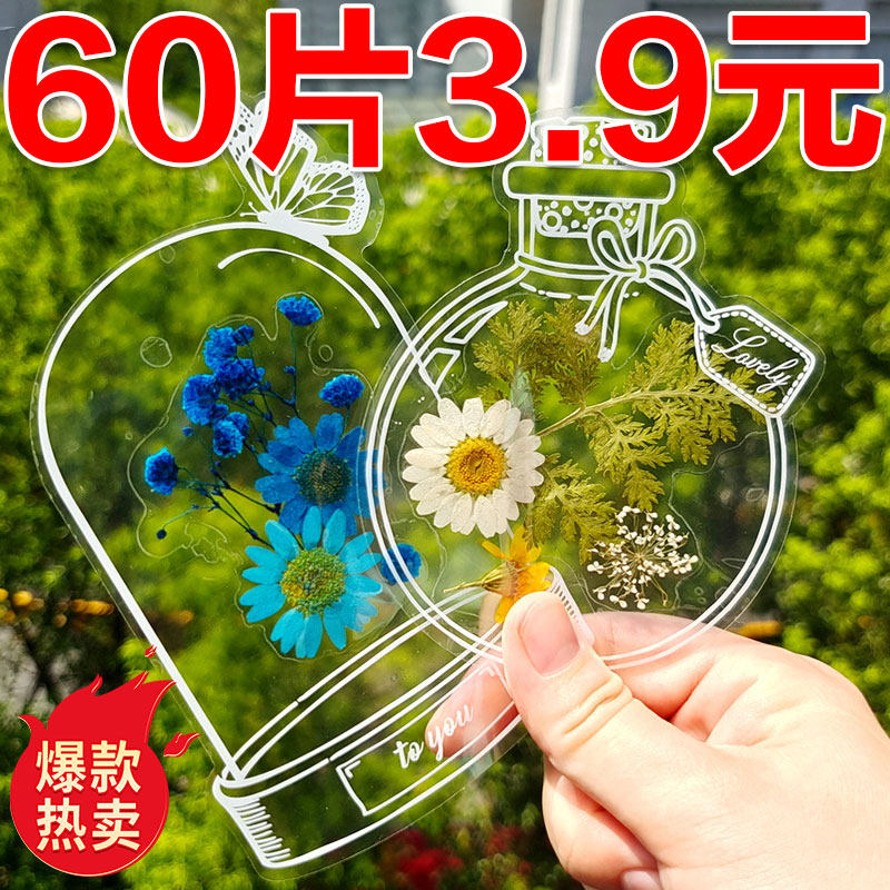 干花书签植物标本塑封膜秋天收集枫叶手工diy材料透明树叶粘贴画