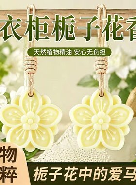 衣柜香薰蜡片室内持久留