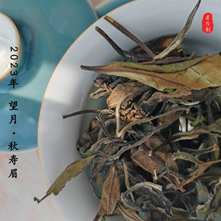 【望月】福鼎白茶2023年果香寿眉磻溪高山冰糖甜