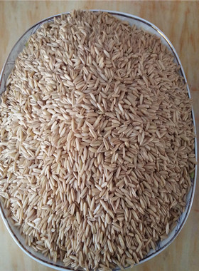 新米新货燕麦米五斤装免邮燕麦燕麦米仁五谷杂粮