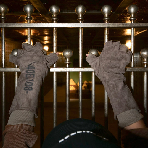 JohariWindow 麂皮螺纹双层露指印花手套配饰