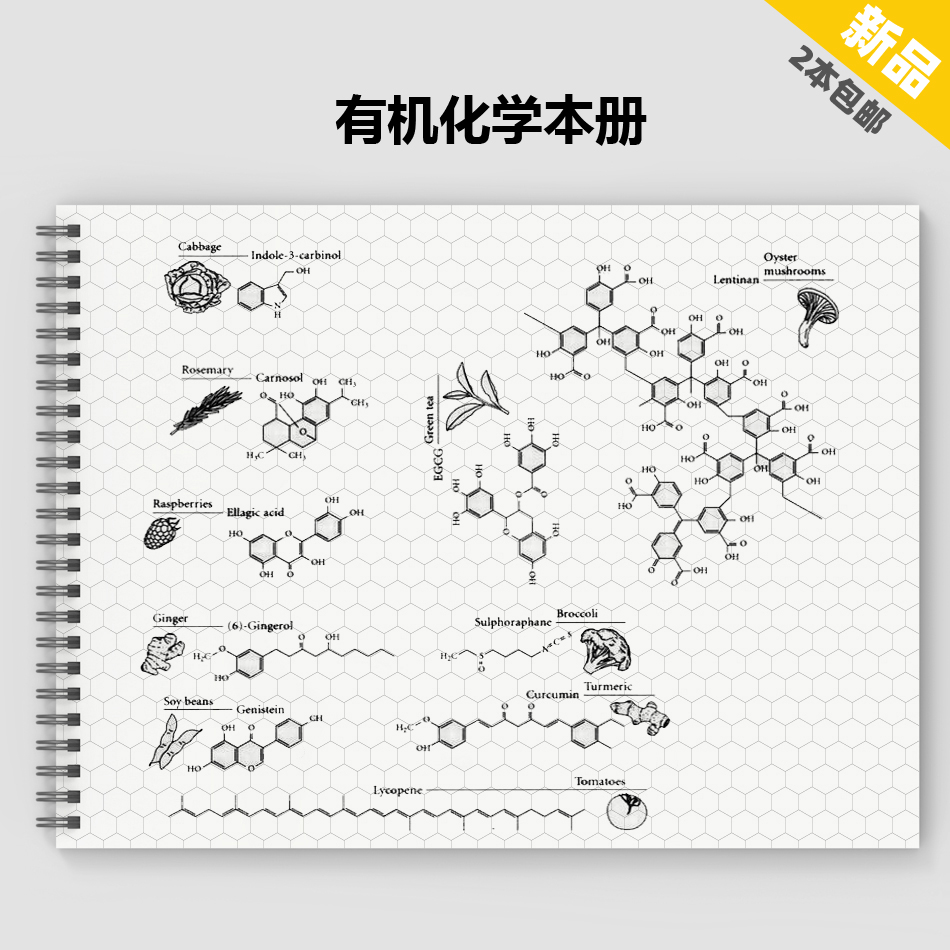 六菱形有机化学本苯环分子原子结活页结构绘制A4线圈本 两本包邮 文具电教/文化用品/商务用品 笔记本/记事本 原图主图