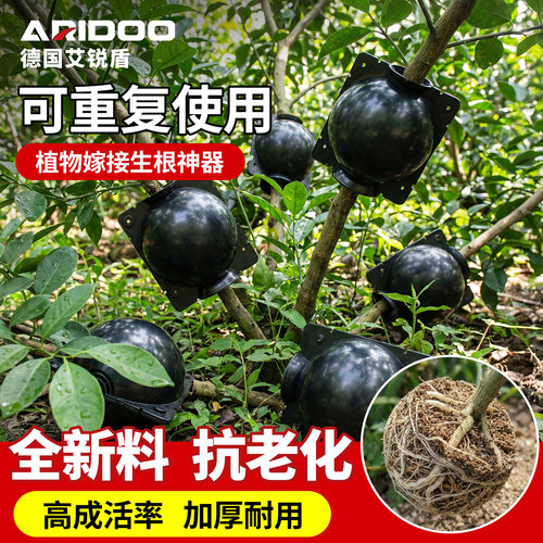 植物高压嫁接透明繁殖球生根包